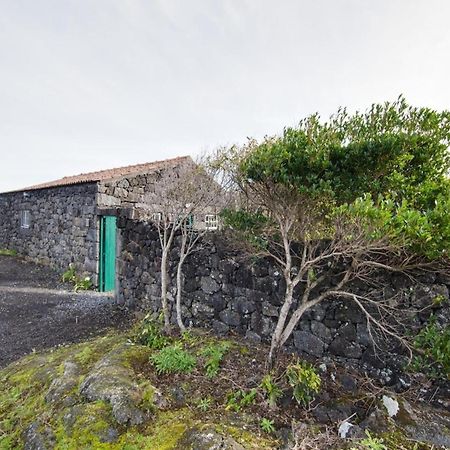 Holiday House, Santa Luzia, Pico, Azores Villa Santa Luzia  Dış mekan fotoğraf